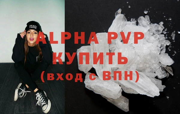 спиды Михайлов
