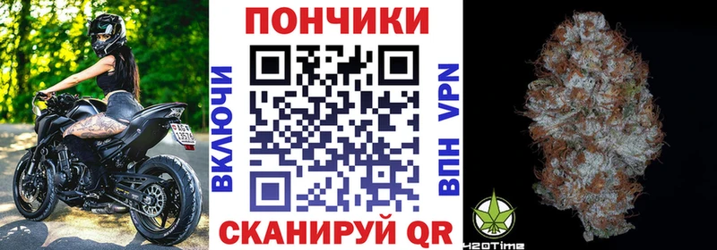 Конопля сатива Севск